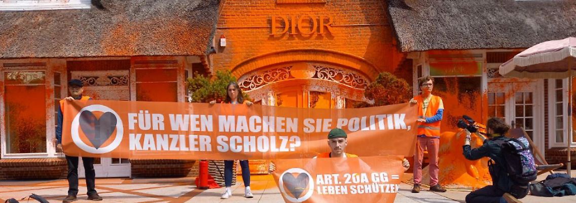 Letzte Generation_Dior_Sylt.PNG