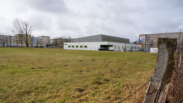 Das Gelände, auf dem die Stadt Greifswald eine Containerunterkunft für etwa 500 Geflüchtete errichten wollte.