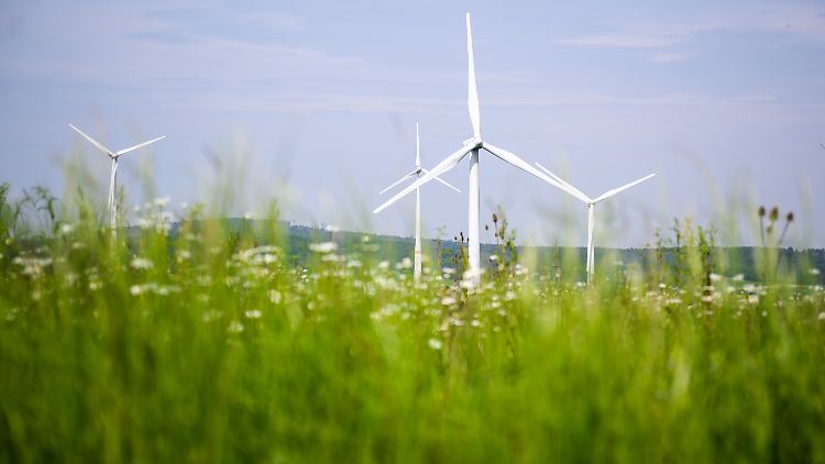 Hitzerekorde im globalen Vergleich, aber ein deutlicher Ausbau der Windkraft: Die EU berichtet über den Klimawandel. 