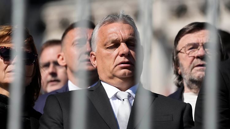 Der Stabschef von Viktor Orban behauptet, Budapest habe die ukrainischen Behörden über die Überstellung der Soldaten informiert.