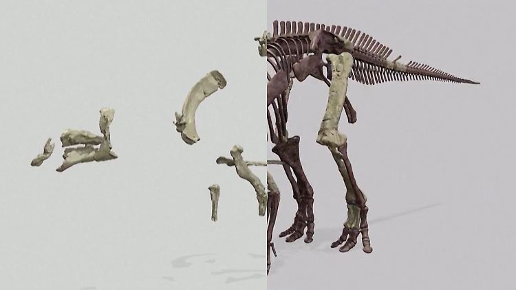 Dinosaurier_Art Entdeckt.JPG