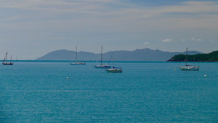 Vor Queensland in Australien war der Wal zu sehen.