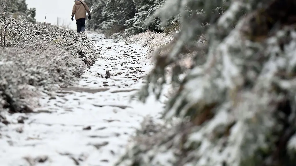 An-einem-Rundweg-auf-dem-Schliffkopf-im-Schwarzwald-liegt-Neuschnee
