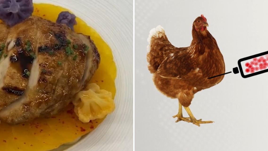 Laborhuhn.jpg