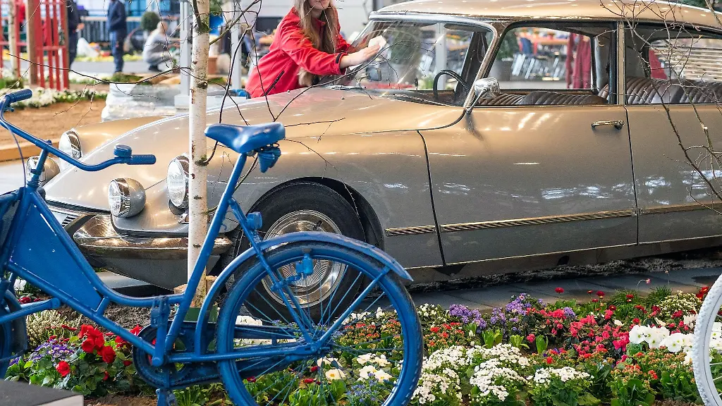 Lena-Wehland-von-der-Hansemesse-putzt-die-Frontscheibe-von-einem-franzoesischer-Oldtimer-vom-Typ-Citroen
