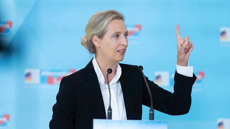 Alice Weidel traut sich das Kanzleramt nach eigenen Angaben zu, gehört damit in Deutschland aber einer Minderheit an.