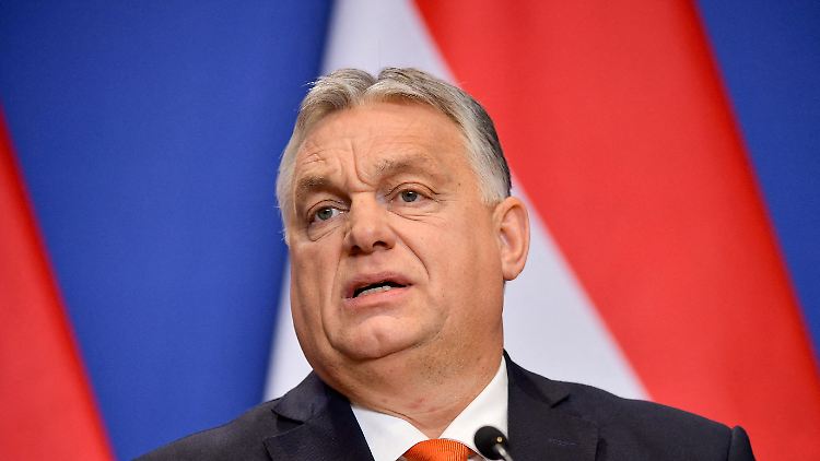"Ich kümmere mich nicht um Putin", behauptet Ungarns Ministerpräsident Orban. 