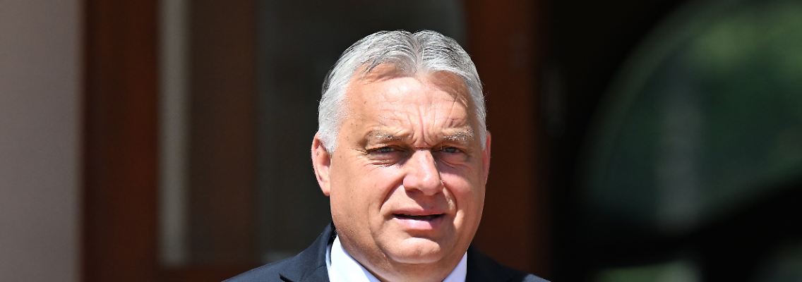 414598084.jpg
