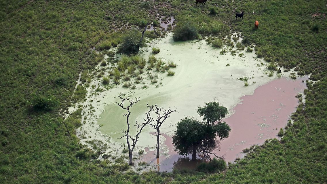 Außerdem ist der Gran Chaco eine wichtige Kohlenstoffsenke, was angesichts der Bedeutung des Amazonas-Regenwaldes im Norden oft vergessen wird.