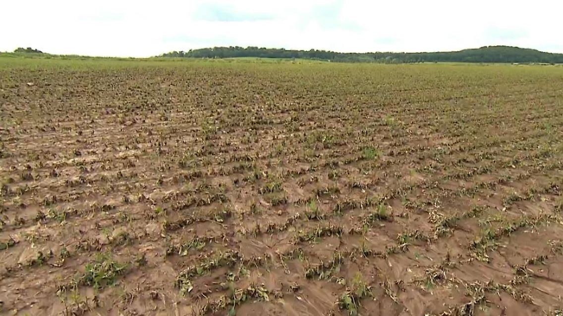 landwirt.JPG