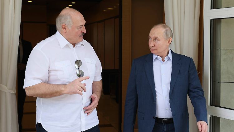 Der große und der kleine Bruder: Lukaschenko und Putin (r) bei einem Treffen am 9. Juni in Sotschi.