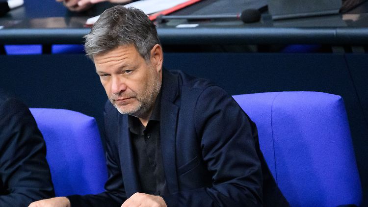 Habeck kann mit dem Ergebnis des Gesetzgebungsverfahrens nicht zufrieden sein.