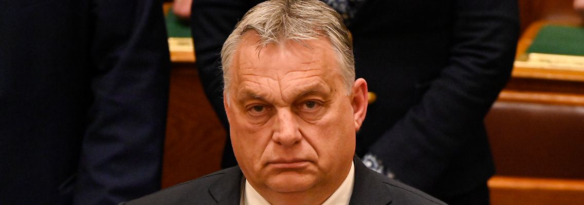 404199121.jpg