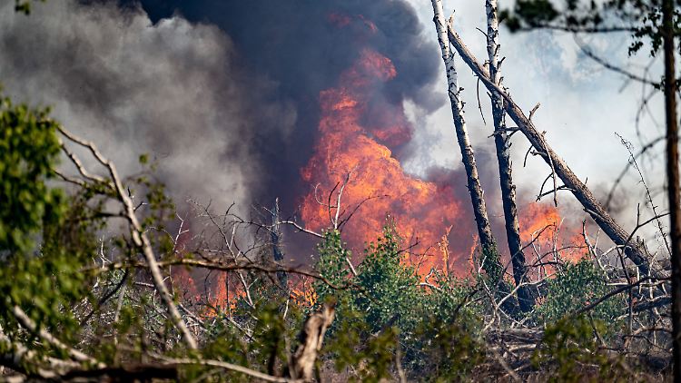 Anfang Juni erst brannte der Wald im brandenburgischen Jüterbog lichterloh. Optische Überwachungssysteme seien oft zu langsam, meint Erfinder Müller.