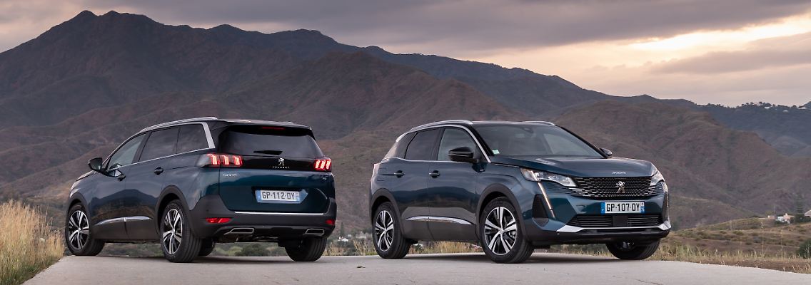 Peugeot_3008_5008_Doppel.jpg