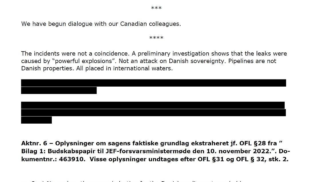Ausschnitt aus dem Papier des dänischen Verteidigungsministeriums.