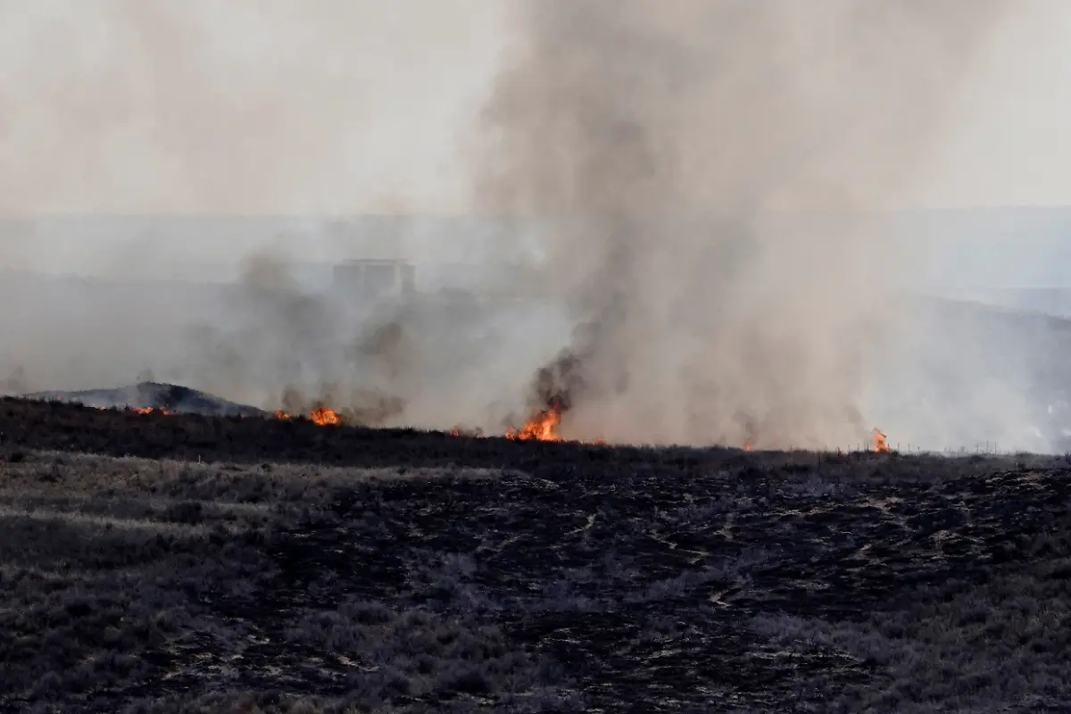 654d6e8473fecf6a39b2cd2018323255