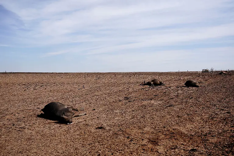 f08176a561d3363a157d84d262345ff7