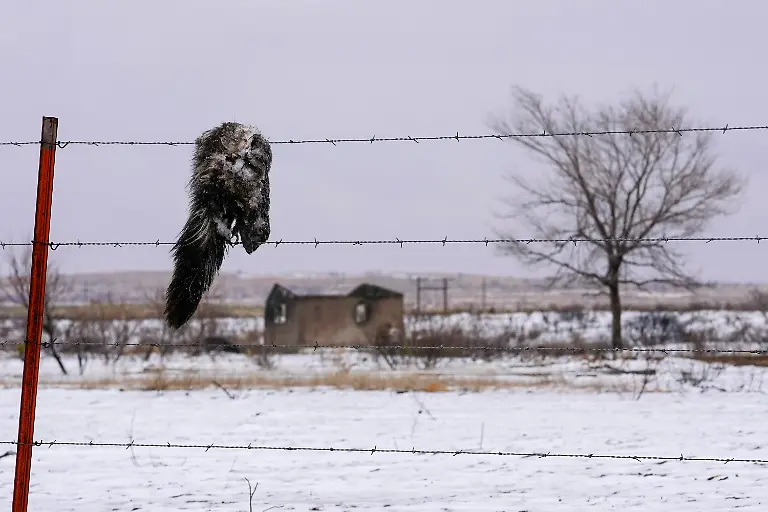 911a3eb16a2c1163e5d9d8e88a56de6c