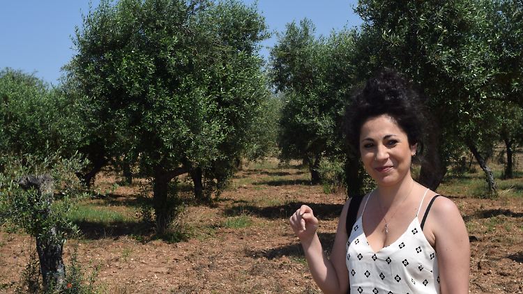 Chiara Paladini in einem ihrer Olivenhaine, der bisher verschont geblieben ist.