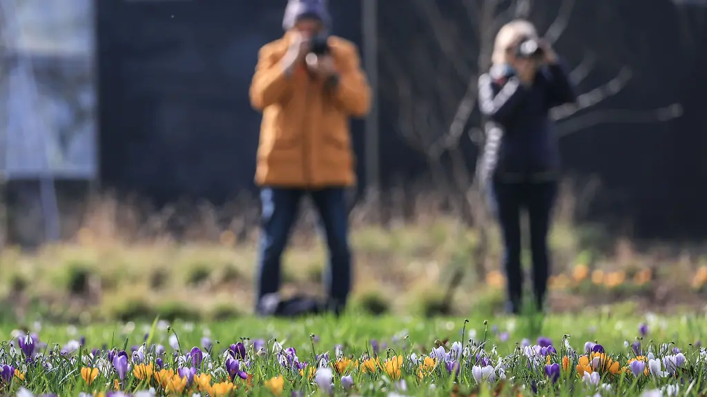 Spaziergaenger-fotografieren-in-der-Flora-Krokusse