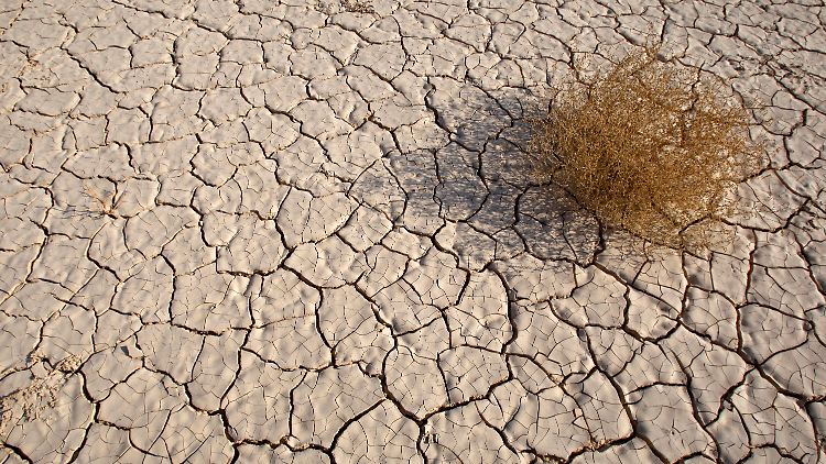 El Niño führt meist zu starker Trockenheit in Australien, Indonesien und Teilen Südasiens - in anderen Teilen der Welt hingegen zu stärkeren Niederschlägen.
