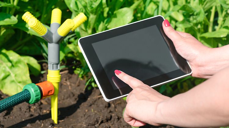 Smarte Bewässerungscomputer liefern wichtige Infos zu Wetter, Bodenfeuchte und mehr aufs Tablet.