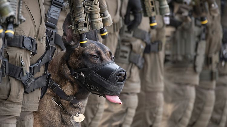 In den frühen Morgenstunden haben Elitepolizisten der GSG-9 eine Razzia durchgeführt.