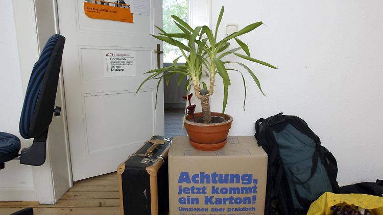 Irgendwann ist die Zeit gekommen, auf eigenen Beinen zu stehen. 