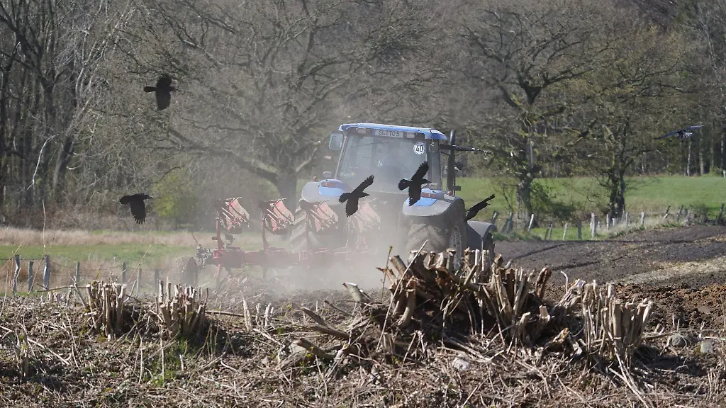 Kraehen-fliegen-hinter-einem-Traktor-auf-einem-Acker-her