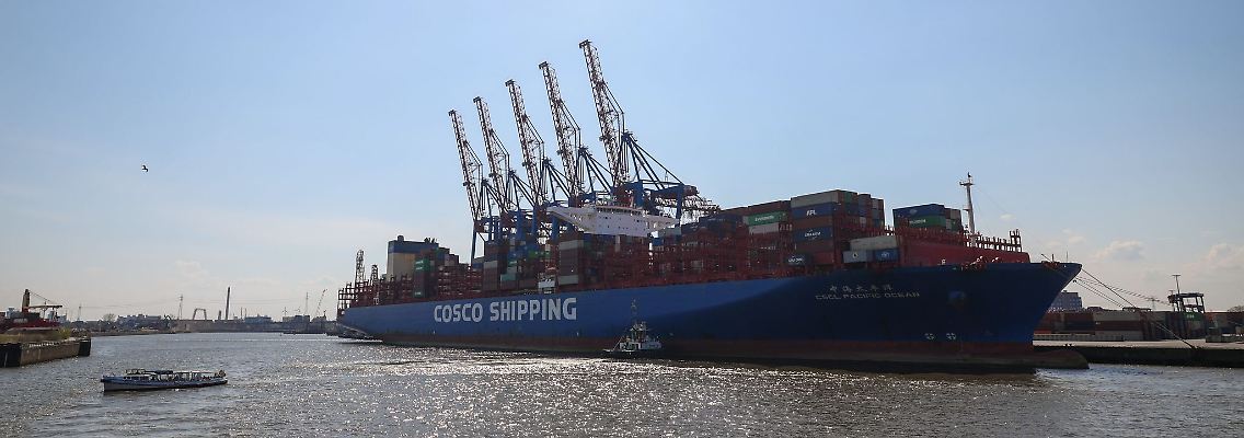 Ein Containerschiff liegt am Terminal Tollerort im Hamburger Hafen.