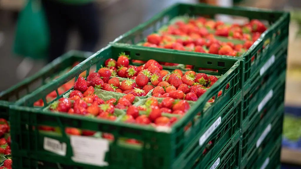 Erdbeeren-liegen-auf-dem-Hamburger-Grossmarkt-in-Kisten-verpackt