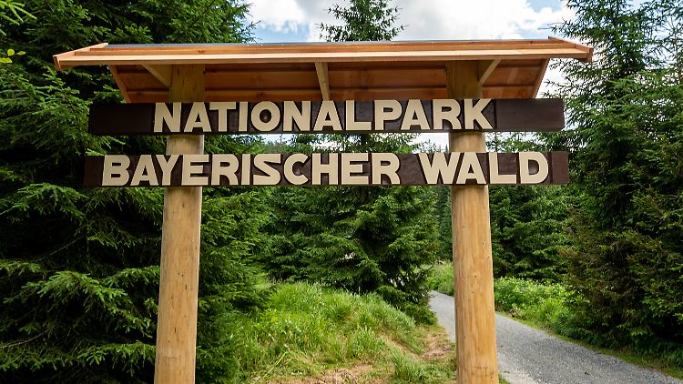Zu den strengen Naturschutzgebieten zählen in Deutschland etwa die Nationalparks Bayerischer Wald, Schwarzwald, Sächsische Schweiz, Unteres Odertal, Eifel und die Wattenmeer-Nationalparks.