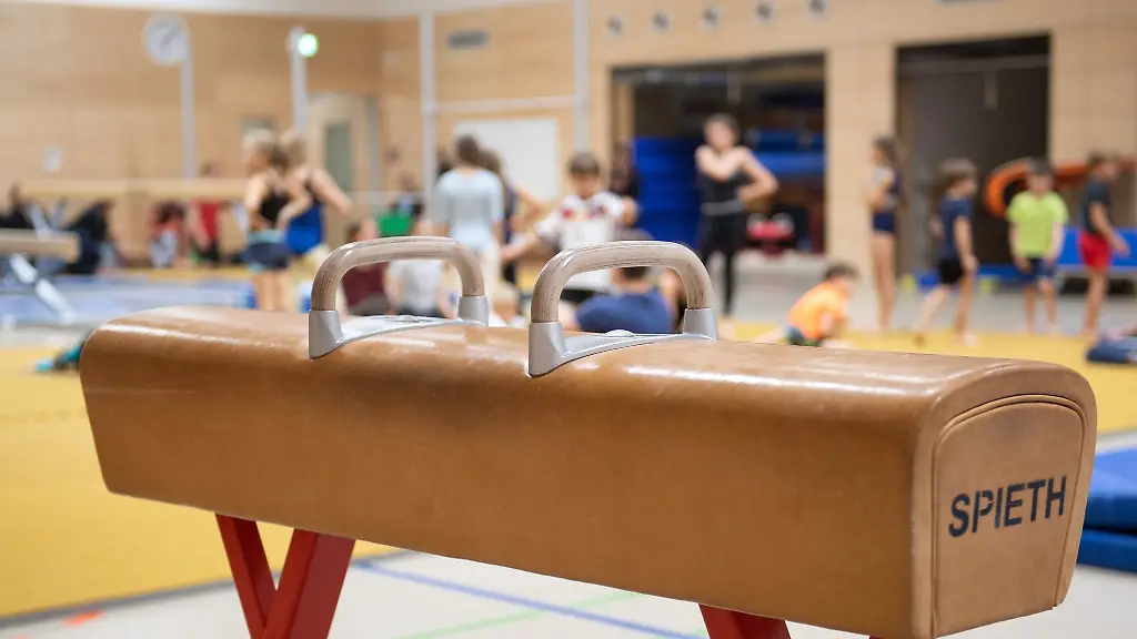 Ein-Pauschenpferd-steht-in-der-Sporthalle-einer-Grundschule