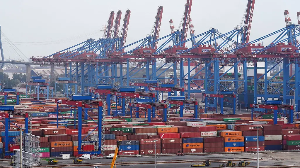 Container-stehen-auf-dem-Container-Terminal-Burchardkai-im-Hamburger-Hafen