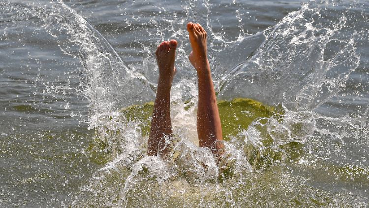 Die DLRG warnt: Nie in unbekannte Gewässer springen.