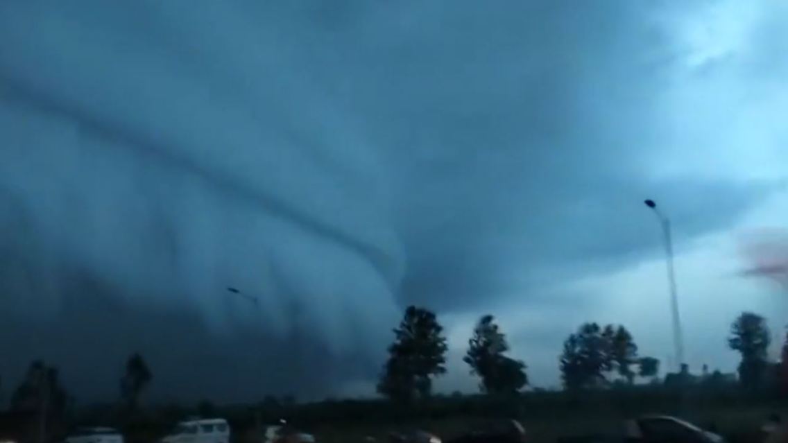 ShelfCloud.JPG