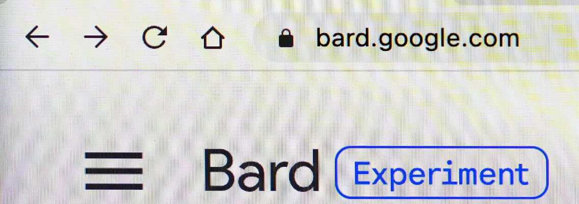Google Bard.jpg