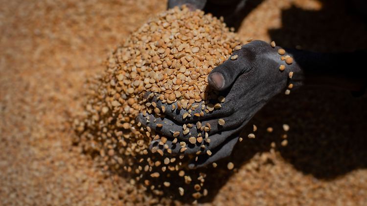 Laut einem Bericht der UNO litten im Jahr 2022 weltweit rund 735 Millionen Menschen an Hunger.