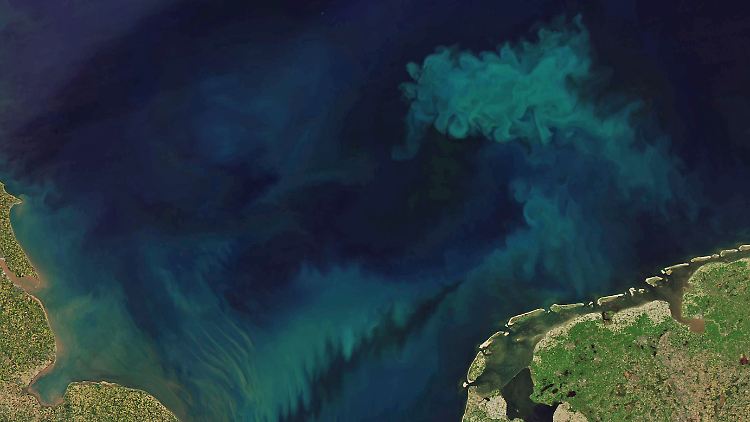 Um die Veränderungen der Ozeanfarbe zu bestimmen, analysierten die Wissenschaftler die Messungen eines Satelliten, der die Meere seit 21 Jahren überwacht.