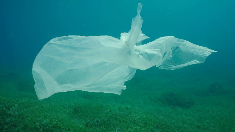 Die Vernetzung der Ozeane durch Meeresströmungen mache die Plastikverschmutzung zu einem globalen Problem.