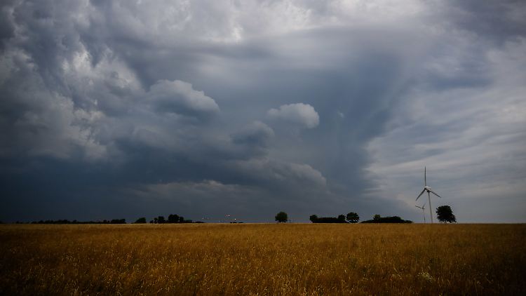 In den vergangenen Jahren wurde schon spürbar, was auch auf Deutschland mit dem Klimawandel zukommt.