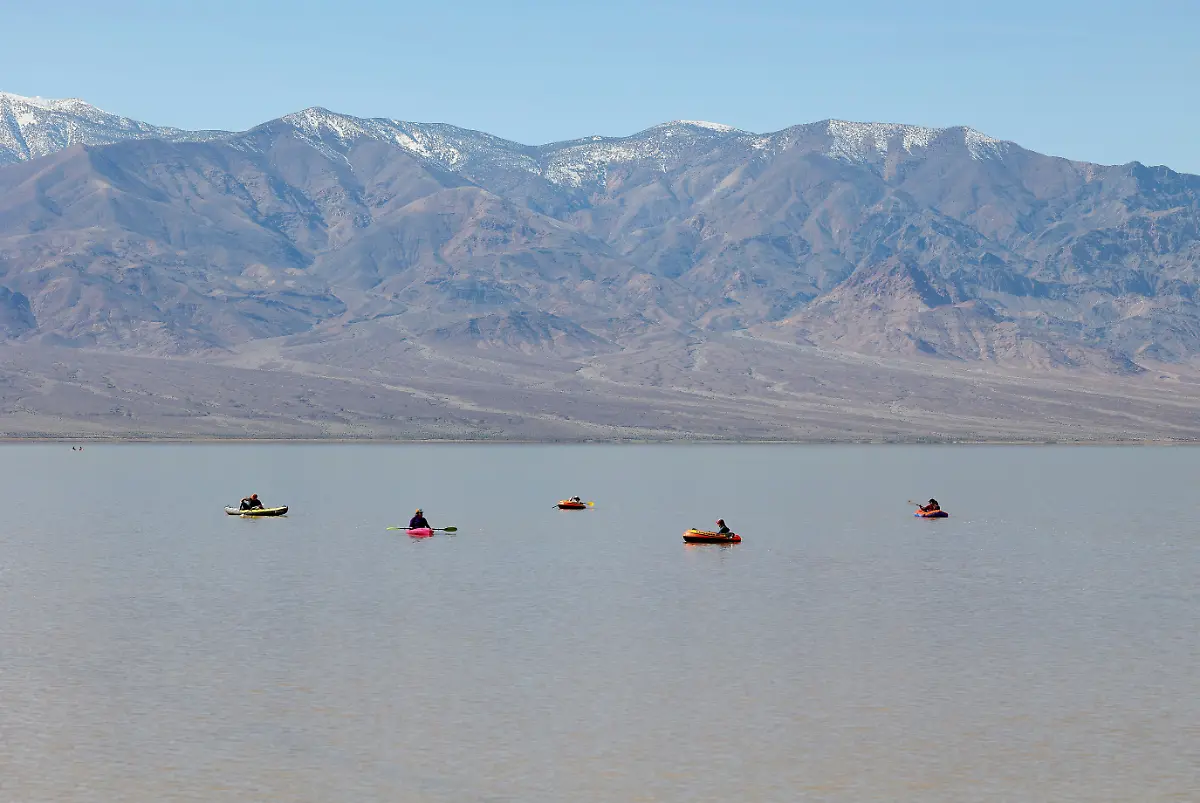 12b358977f3de8ffe0b96ebc86a6ecd8