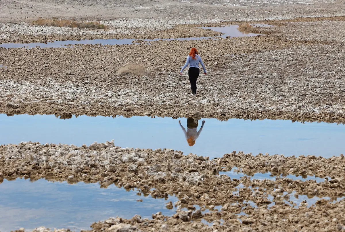 d74d79af04f8948b096afc76b9bd7197