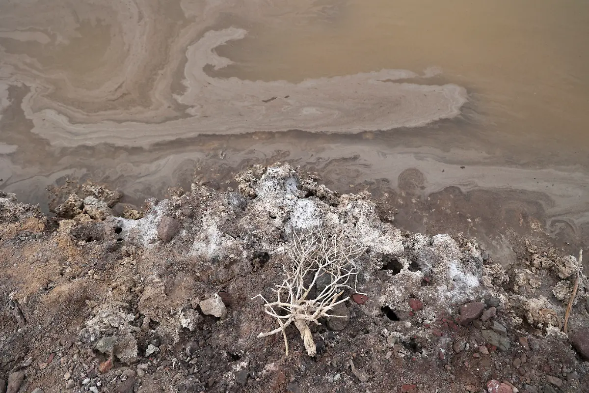 8e76fc1e50f4ef94f1e22aeace35728b