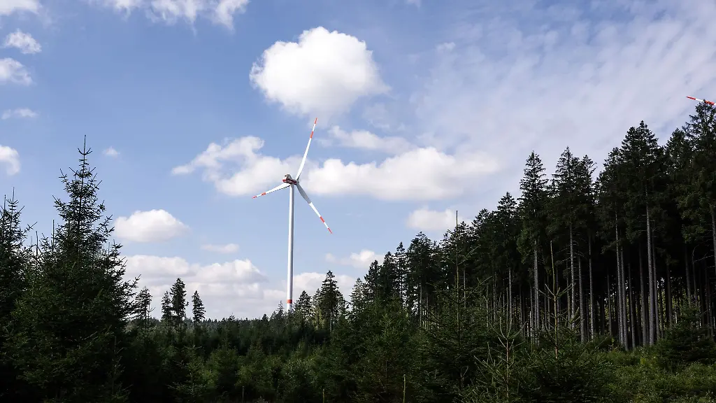Ein-Windrad-steht-auf-dem-Gelaende-eines-Buergerwindparks-im-Wald