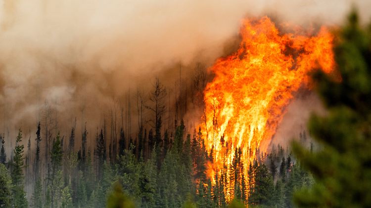 Aktuell sollen 570 Brände in Kanada außer Kontrolle sein.