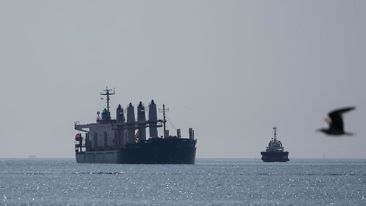 Das mit Getreide beladene Frachtschiff "Lady Zehma" ankert im Marmarameer zwischen Europa und Asien. 