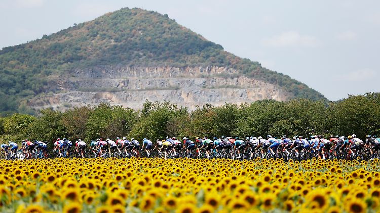 Die Tour de France zählt zu den härtesten Radrennen der Welt. Nicht jeder Fahrer kommt nach den drei Wochen im Ziel in Paris an.