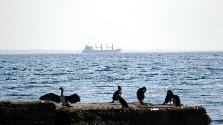 Seit dem letzten Sommer konnten Handelsunternehmen Agrarprodukte aus der Ukraine verschiffen. Dann wollte Russland den Getreide-Deal nicht mehr zu den bisherigen Konditionen verlängern.
